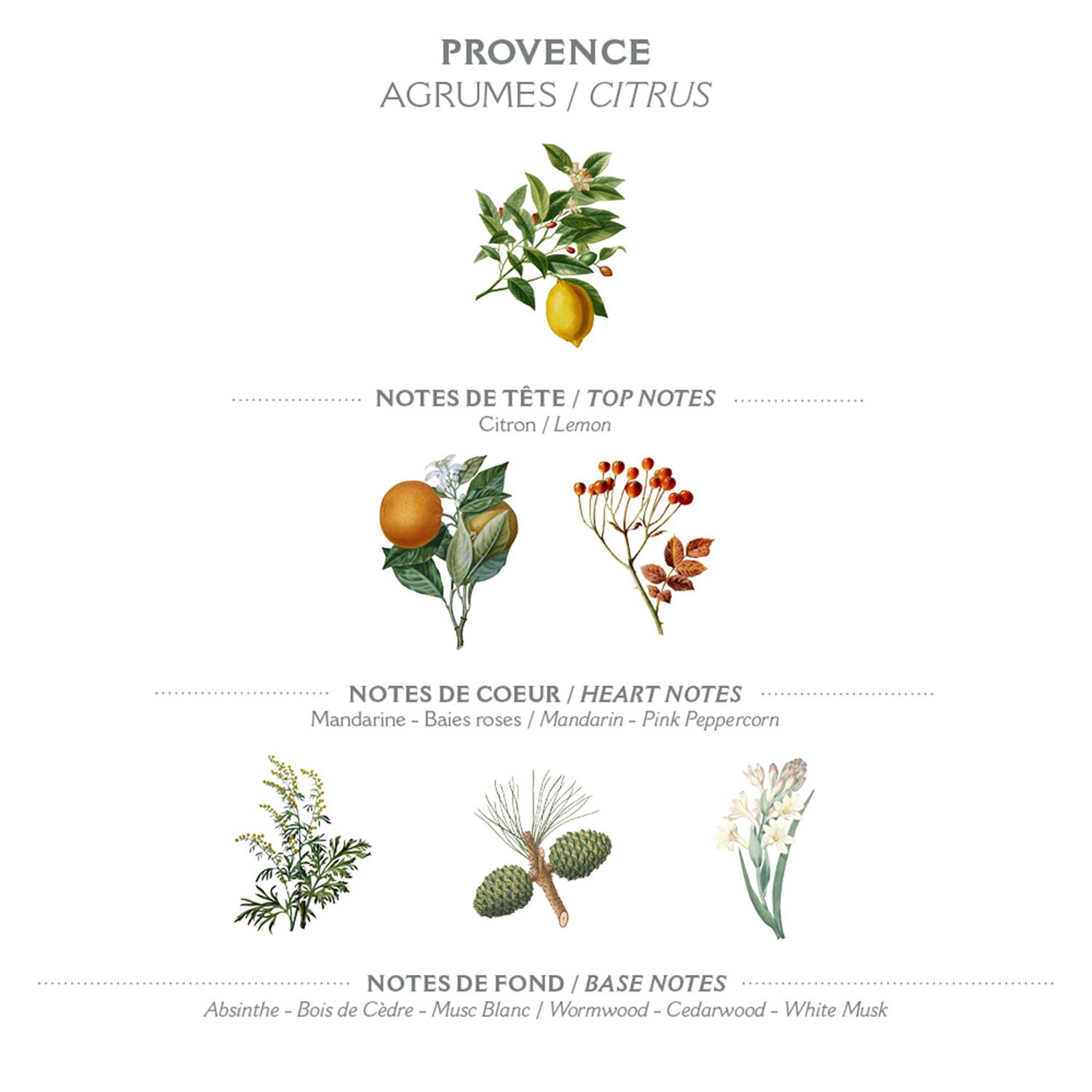 Savon liquide de Marseille 500ml | Provence