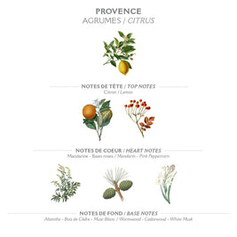 Savon liquide de Marseille 500ml | Provence