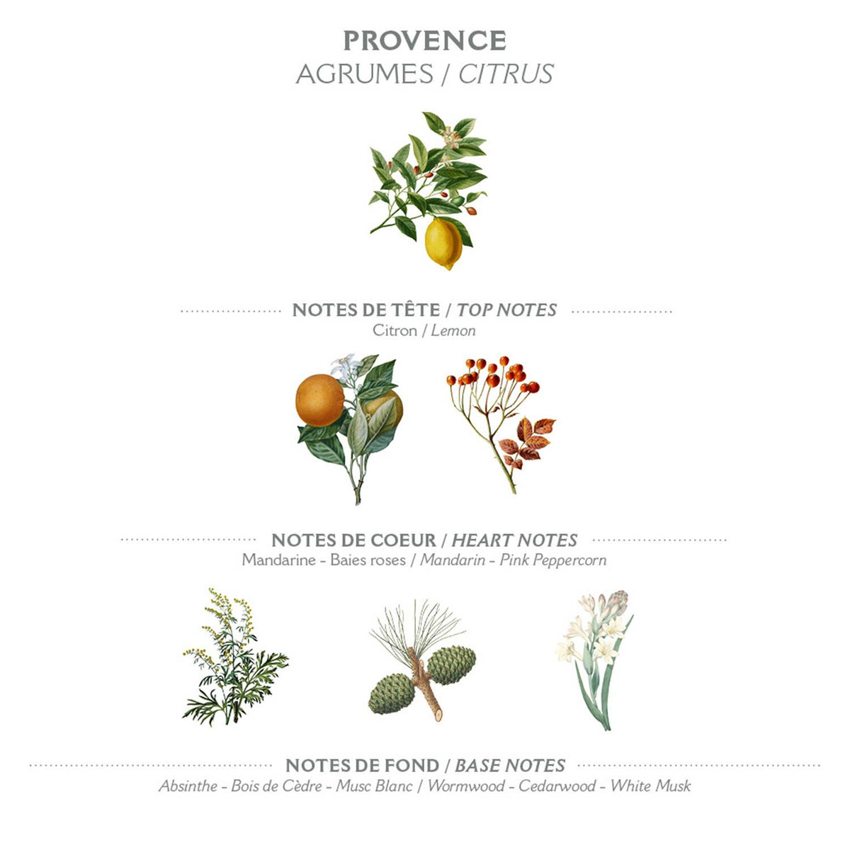 Lait Corps 250ml | Provence