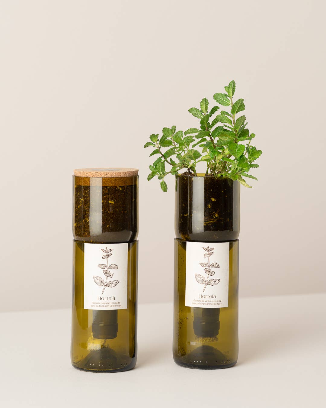 Life in the Bottle Menthe