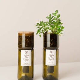 Life in the Bottle Menthe