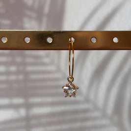 Mix and Match – Boucles d'oreilles simples avec pendentif: Poisson rouge - liberté