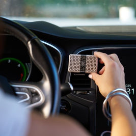 Boitier diffuseur de voiture SEUL LEOPARD