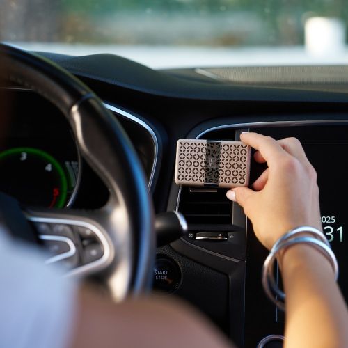 Boitier diffuseur de voiture SEUL LEOPARD