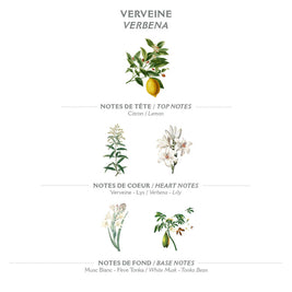Lait Corps 250 ml | Verveine
