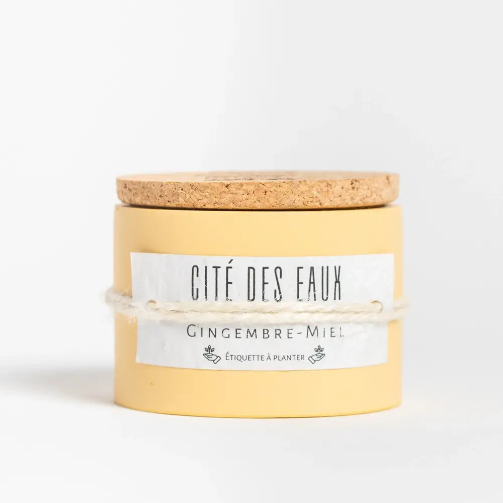 CITÉ DES EAUX (Gingembre Miel)Artisanales & Naturelles | 30h | Jaune