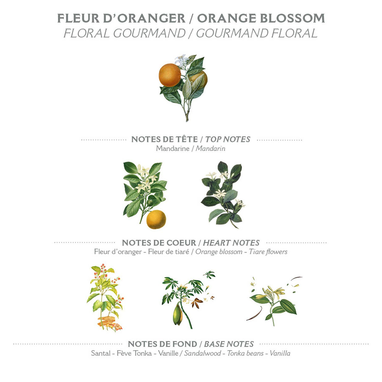 Savon liquide de Marseille 500ml | Fleur d'oranger