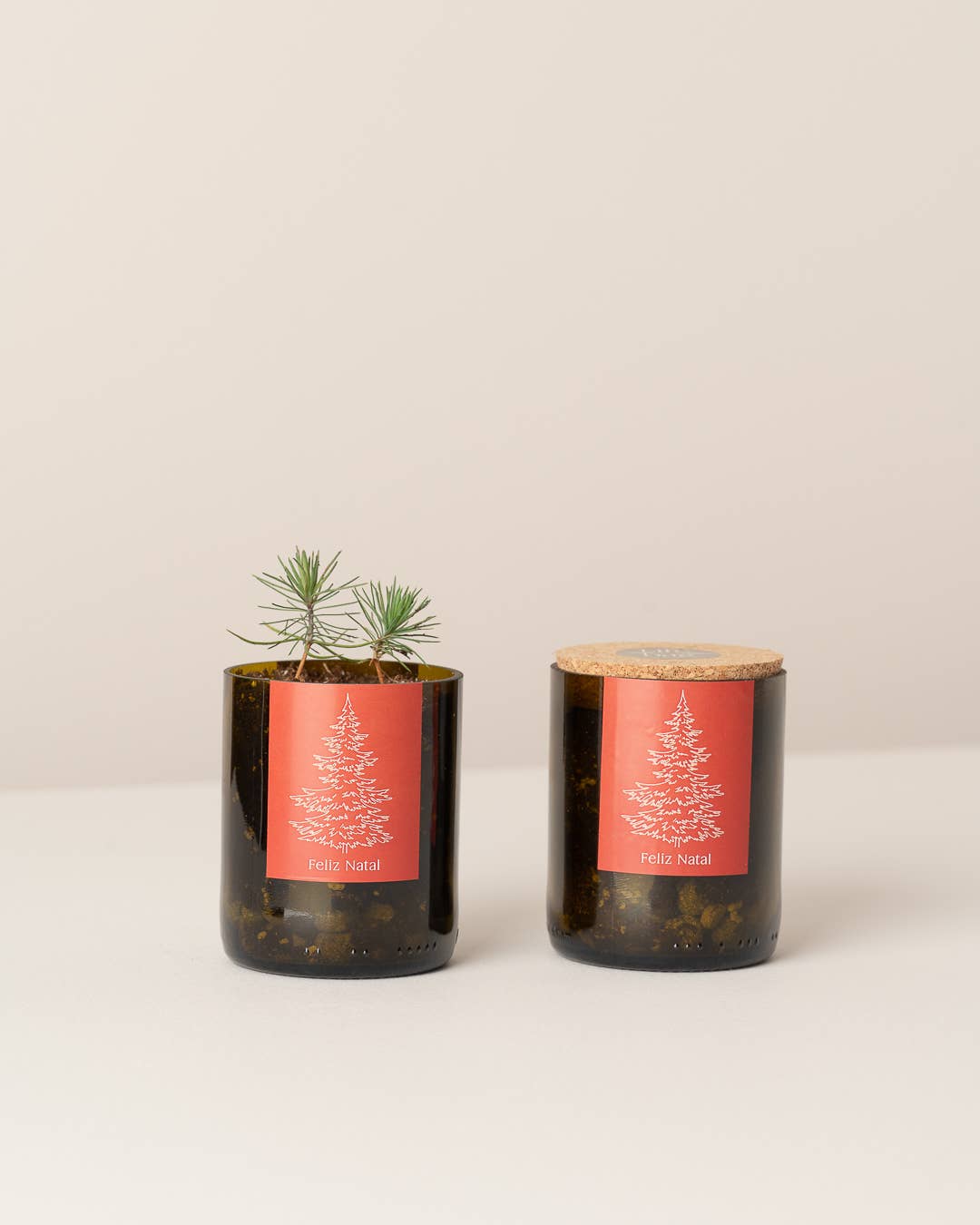 Jardin en Bouteille Joyeux Noël