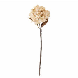 Hydrangea Tige, Nature, Fleurs artificielles