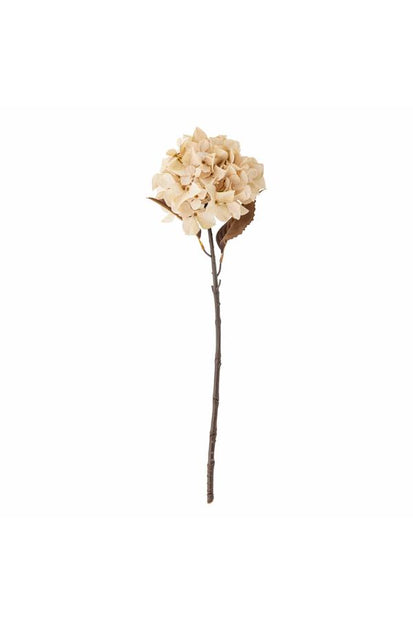Hydrangea Tige, Nature, Fleurs artificielles