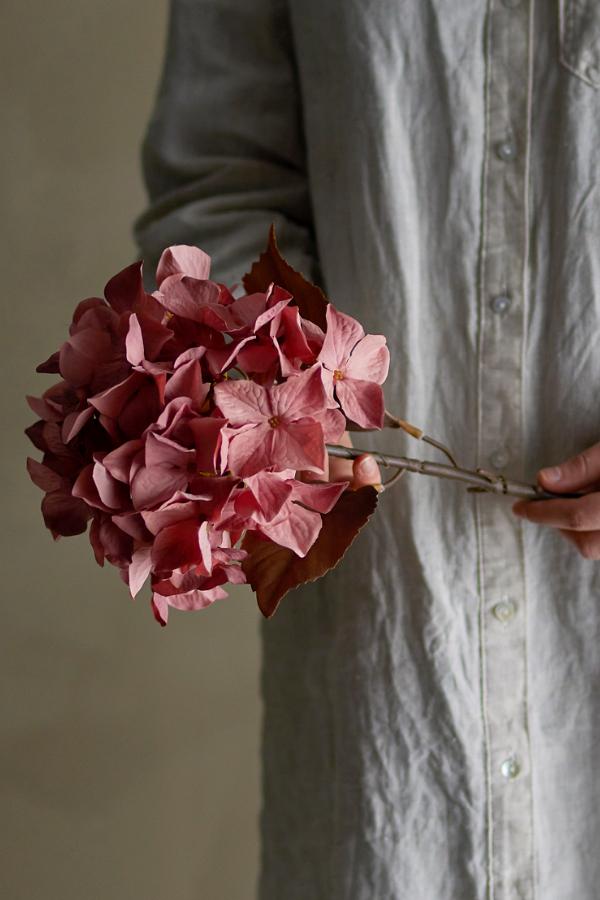 Hydrangea Tige, Rose, Fleurs artificielles