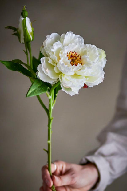 Pivoine Blanche artificielle - PEONY