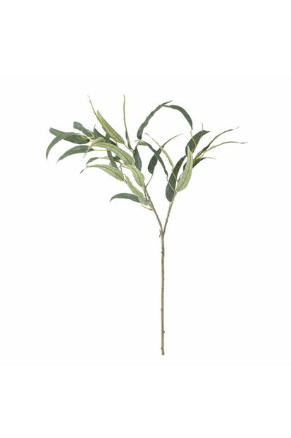 Eucalyptus Tige, Verte, Fleurs artificielles