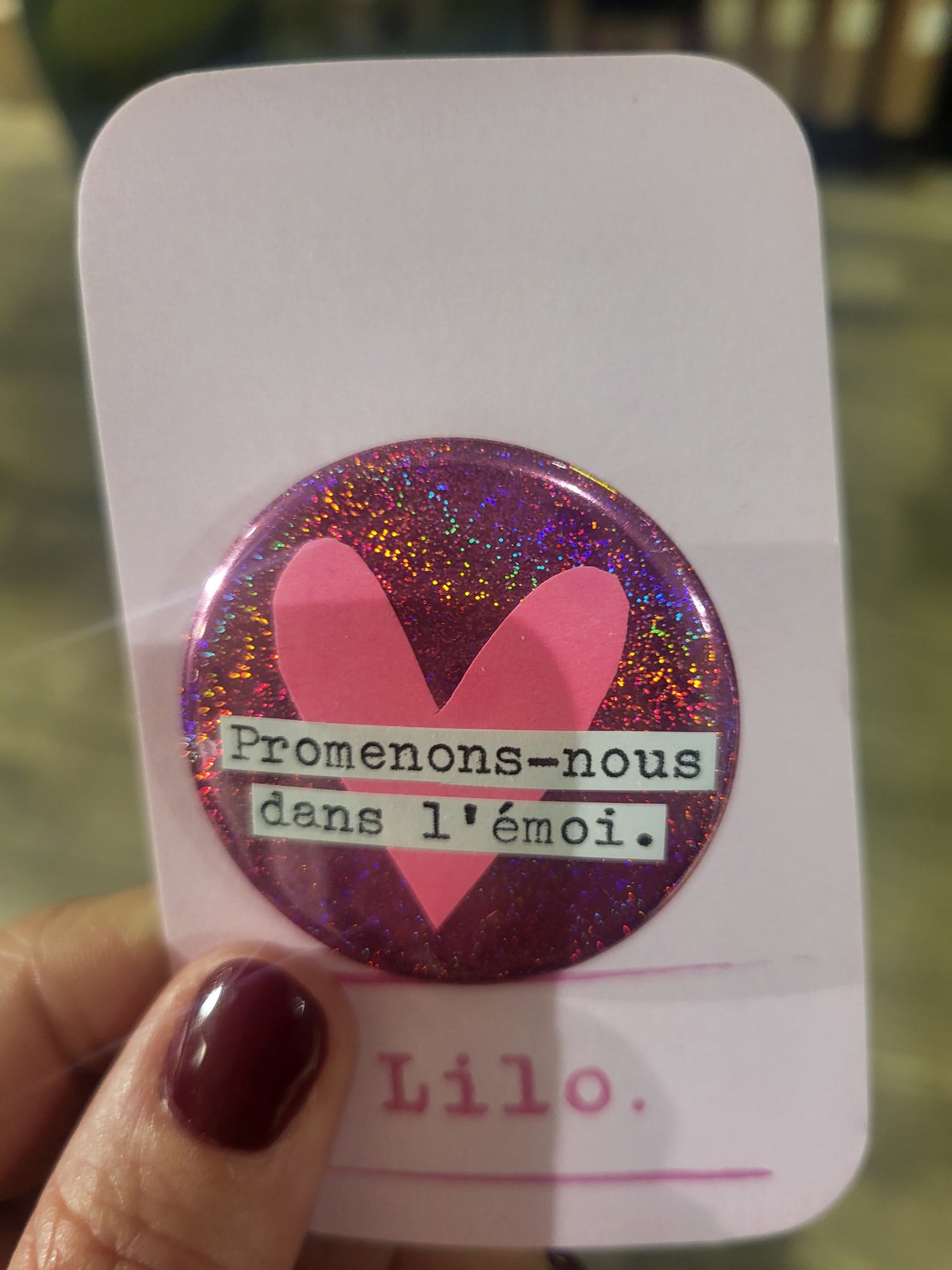 Badge Promenons-nous