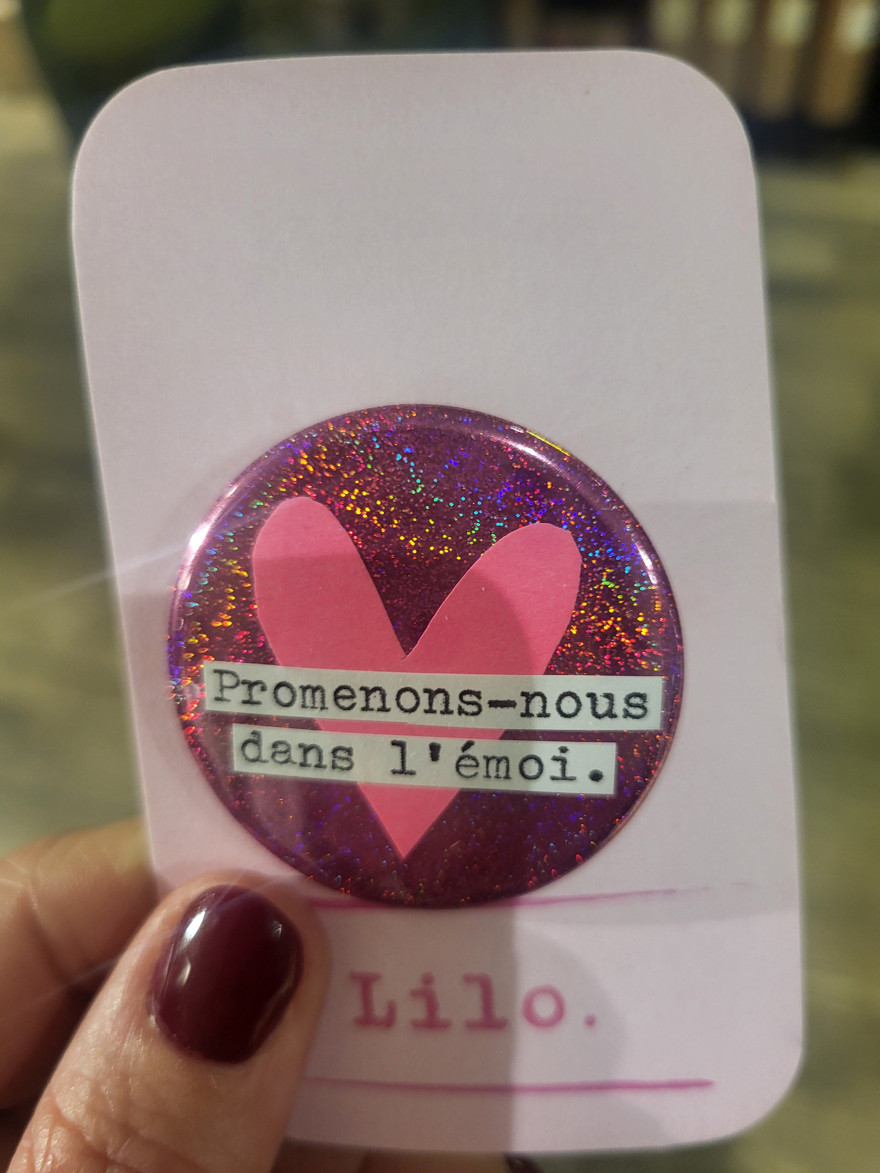 Badge Promenons-nous