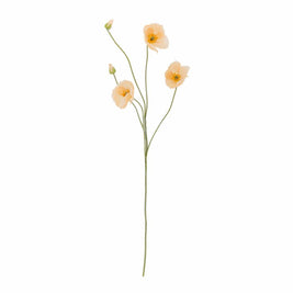 Coquelicot Poppy Beige