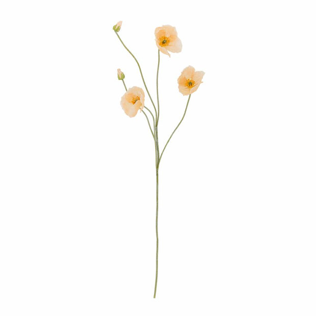 Coquelicot Poppy Beige